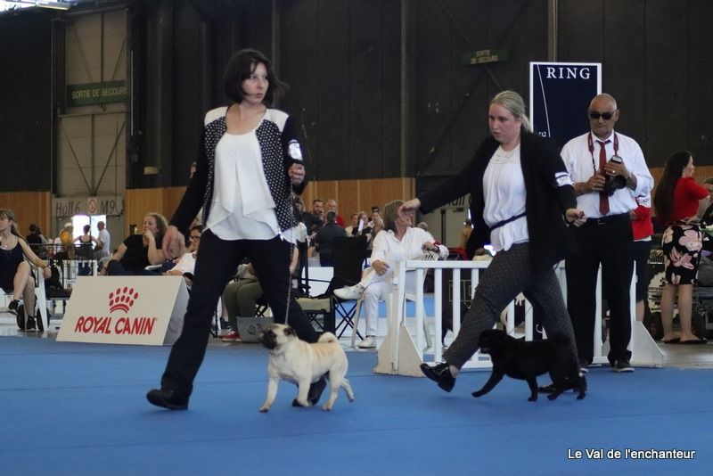 du Val de L'enchanteur - Trophée Christian Eymar Dauphin