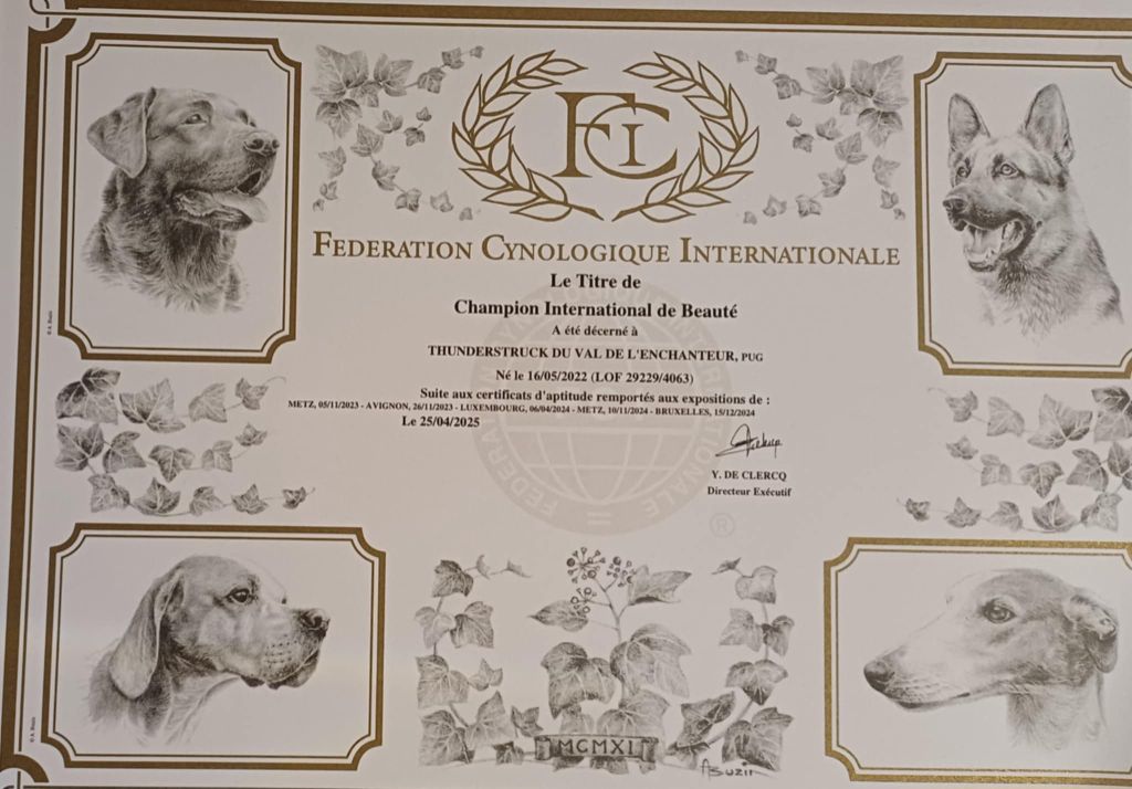 Thunderstruck Champion International